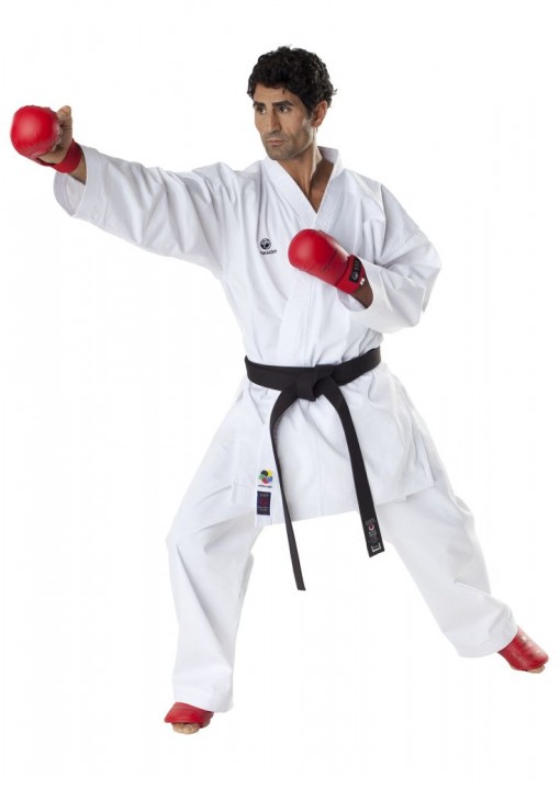 Karategi Tokaido Kumite Master(WKF)