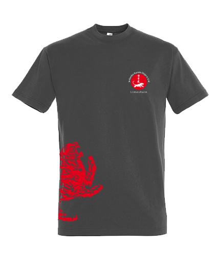 Kenko Karate Tiger Shirt - Kinder - dark grey